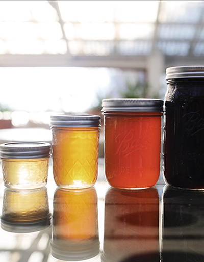 California Buckwheat Blossom Honey